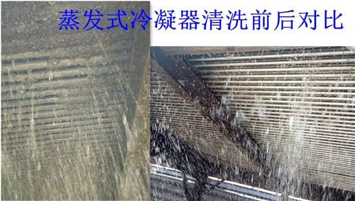 钂哥櫦(f膩)鍐锋竻娲楀墠鍚庡皪姣�